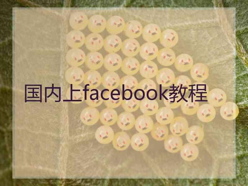 国内上facebook教程