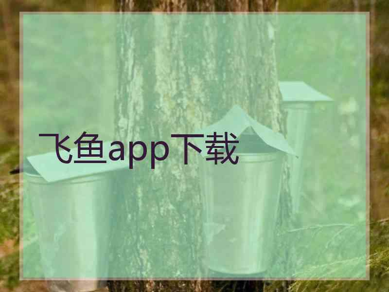 飞鱼app下载