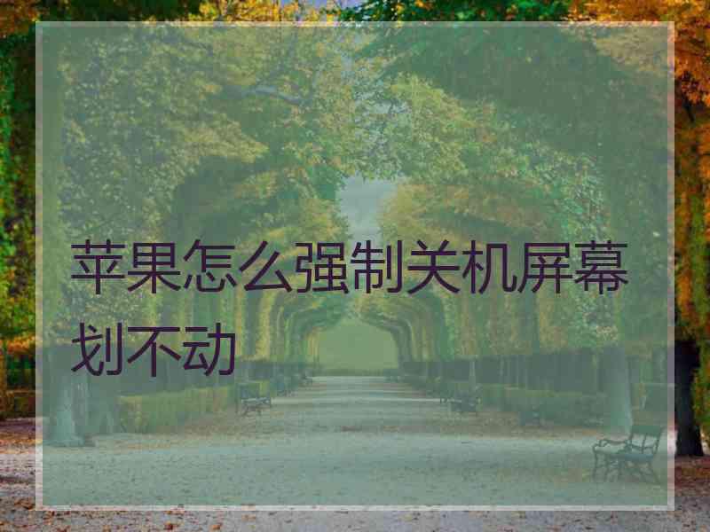 苹果怎么强制关机屏幕划不动