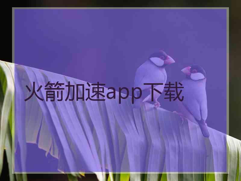 火箭加速app下载