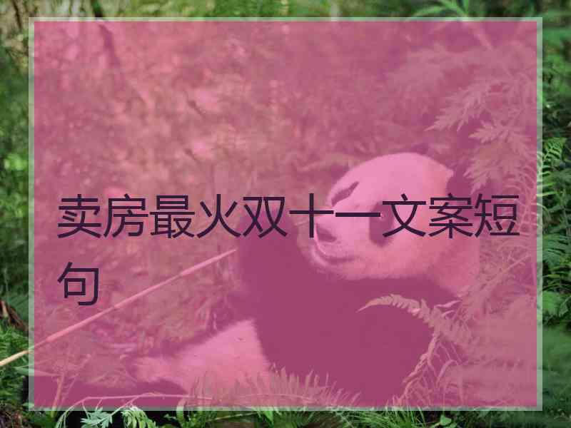 卖房最火双十一文案短句