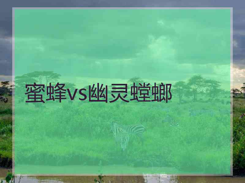 蜜蜂vs幽灵螳螂