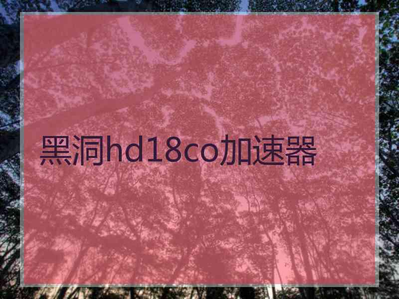 黑洞hd18co加速器