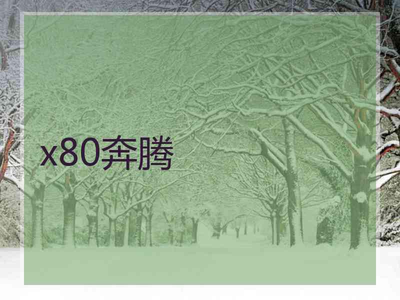 x80奔腾