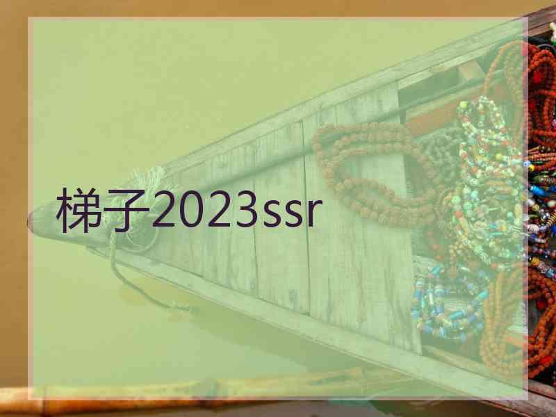 梯子2023ssr