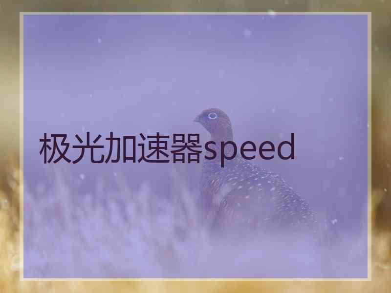 极光加速器speed