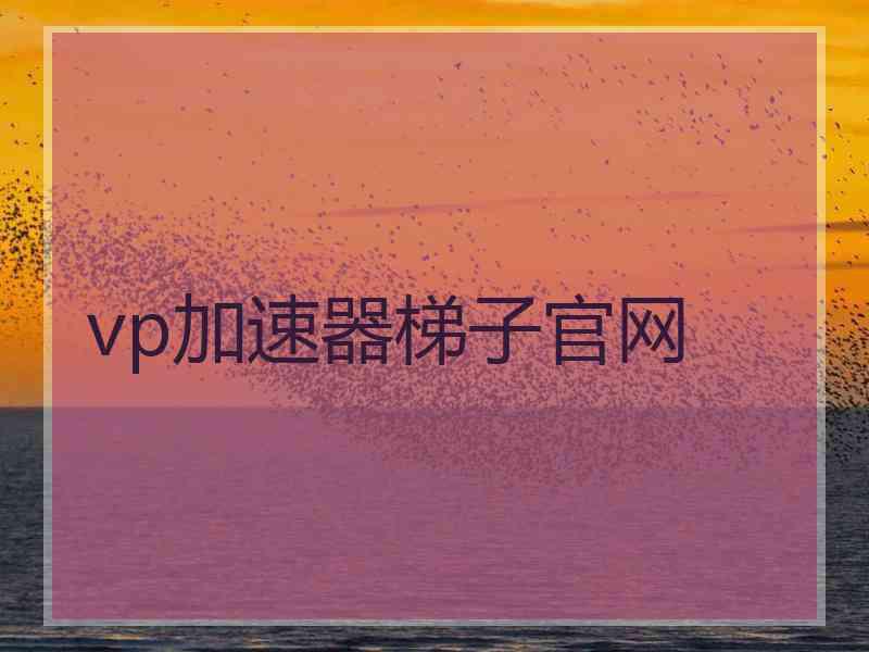 vp加速器梯子官网