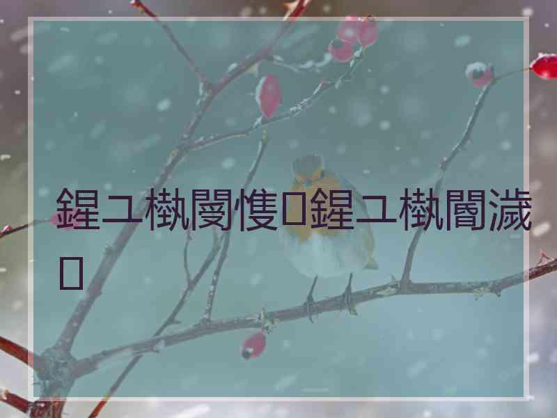 鍟ユ槸閿愯鍟ユ槸閽濊