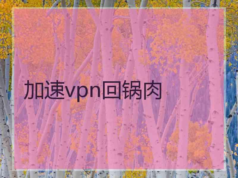 加速vpn回锅肉