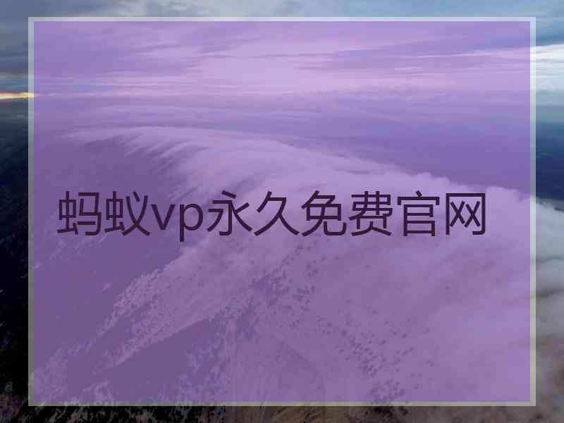 蚂蚁vp永久免费官网