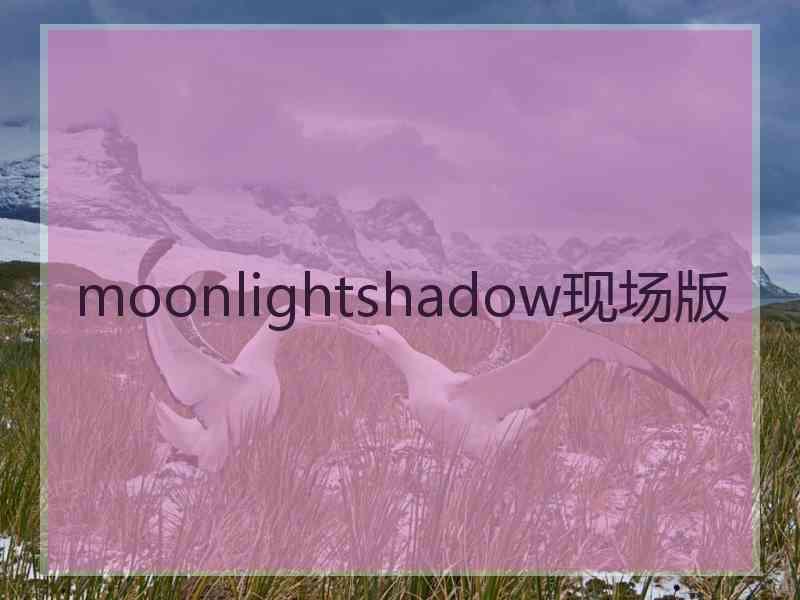 moonlightshadow现场版