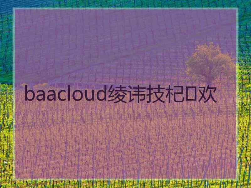 baacloud绫讳技杞欢