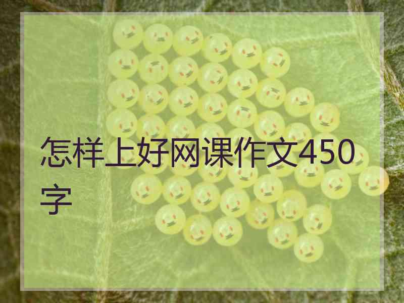 怎样上好网课作文450字