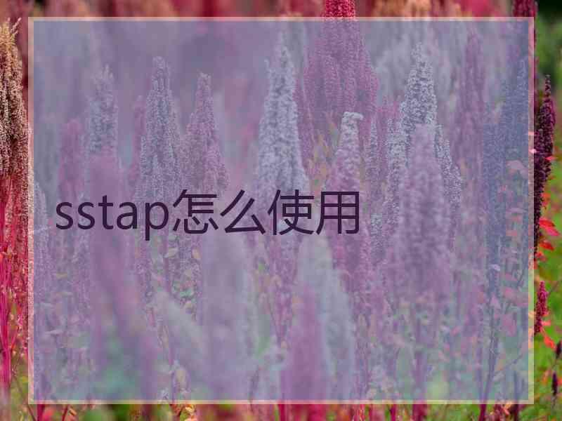 sstap怎么使用