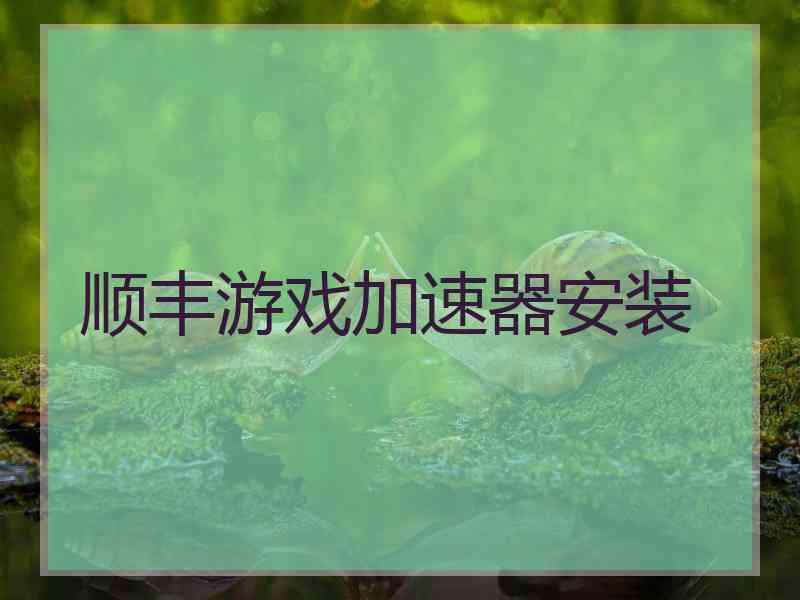 顺丰游戏加速器安装