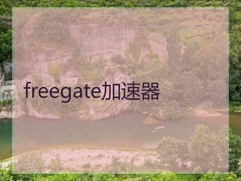 freegate加速器