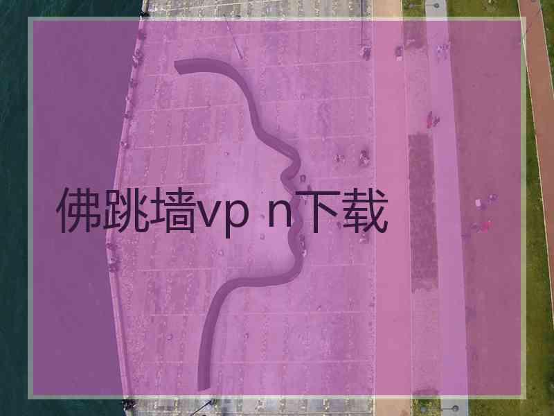 佛跳墙vp n下载