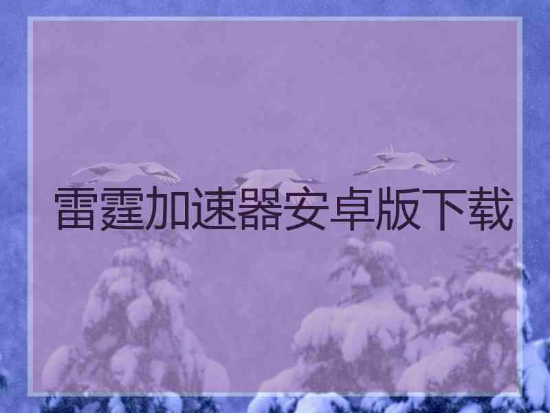 雷霆加速器安卓版下载