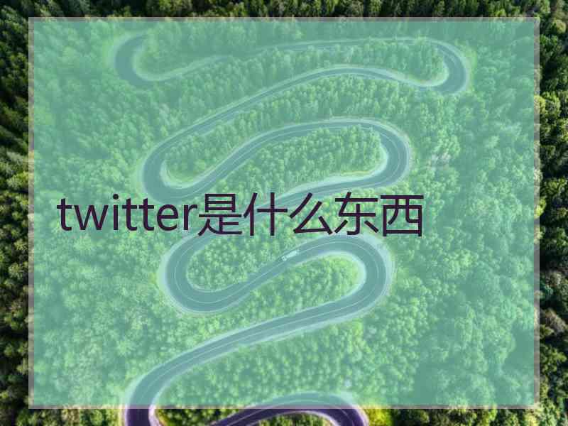 twitter是什么东西