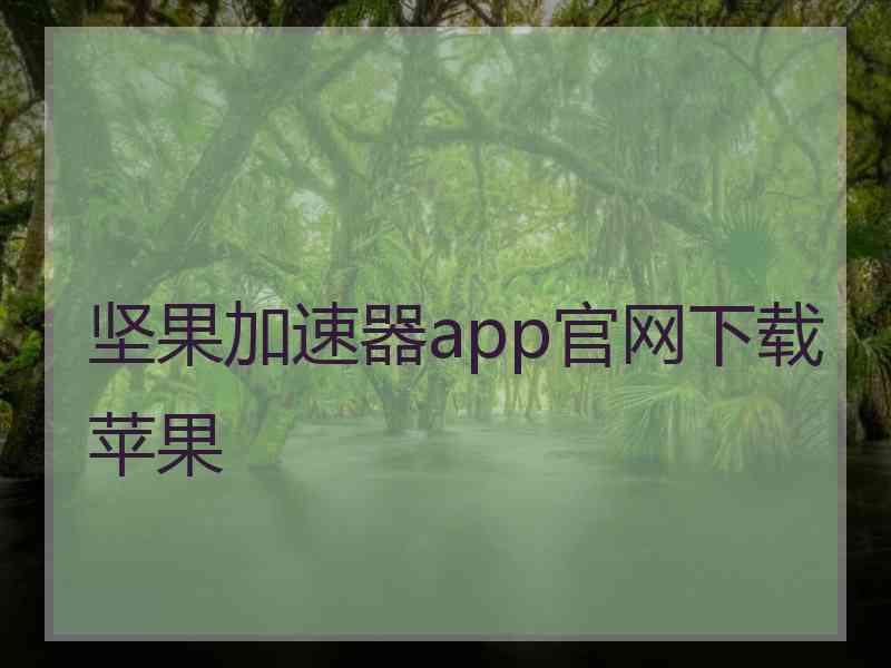 坚果加速器app官网下载苹果