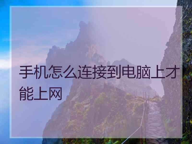 手机怎么连接到电脑上才能上网