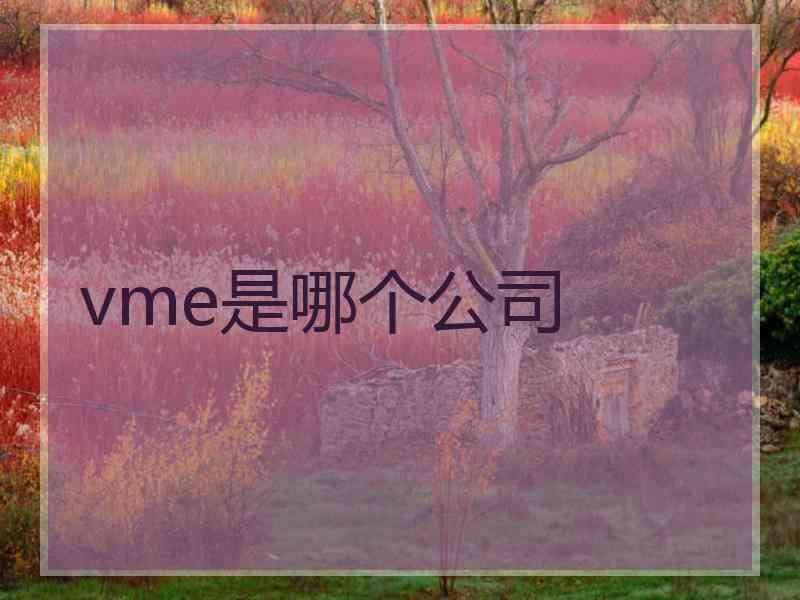 vme是哪个公司