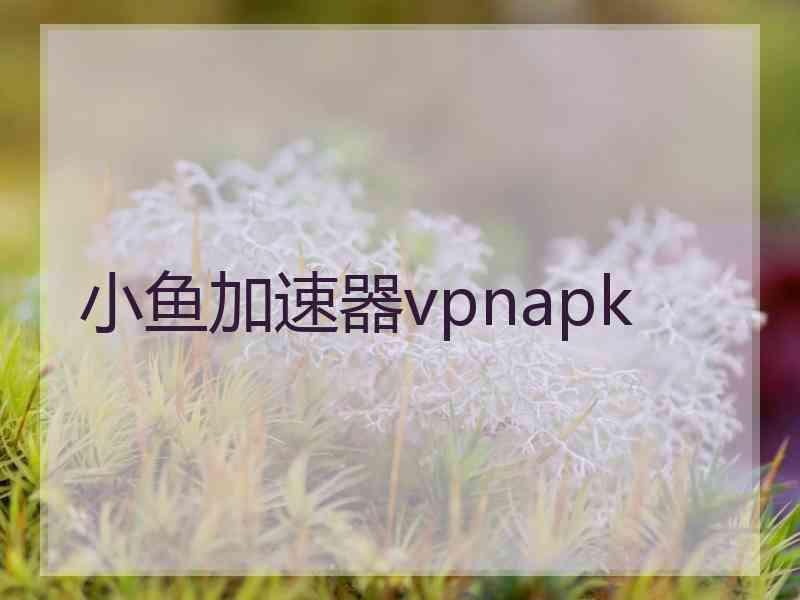 小鱼加速器vpnapk