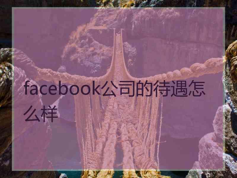 facebook公司的待遇怎么样