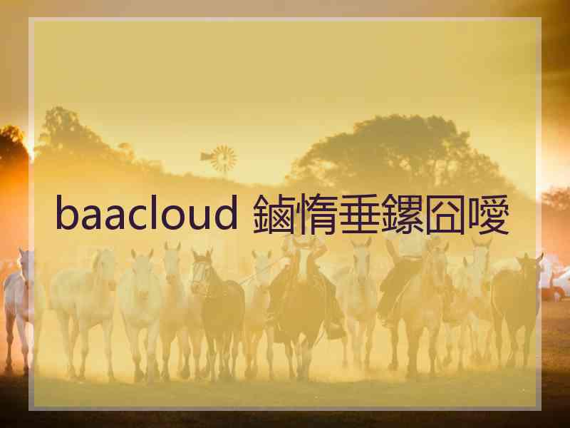 baacloud 鏀惰垂鏍囧噯