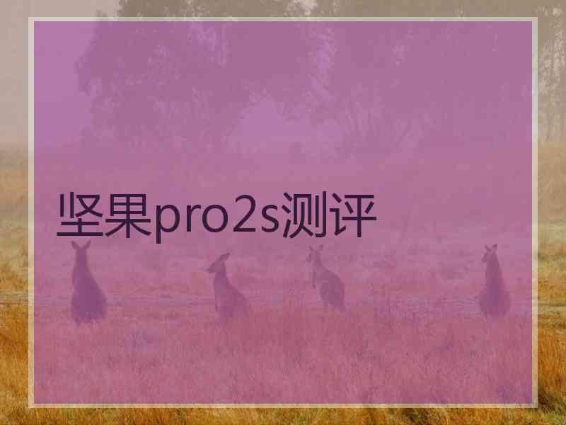 坚果pro2s测评