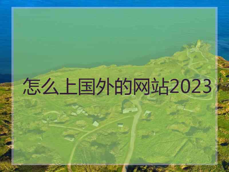 怎么上国外的网站2023