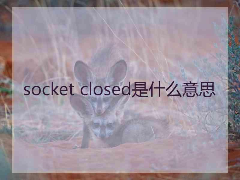 socket closed是什么意思