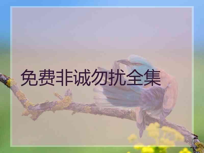 免费非诚勿扰全集