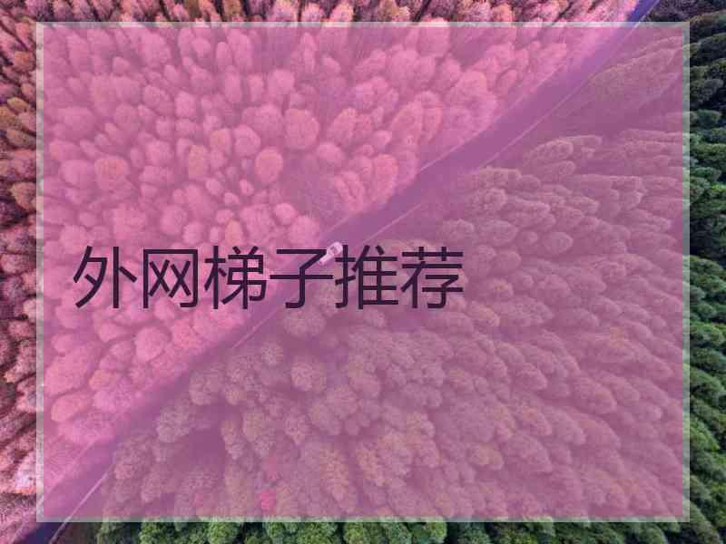 外网梯子推荐