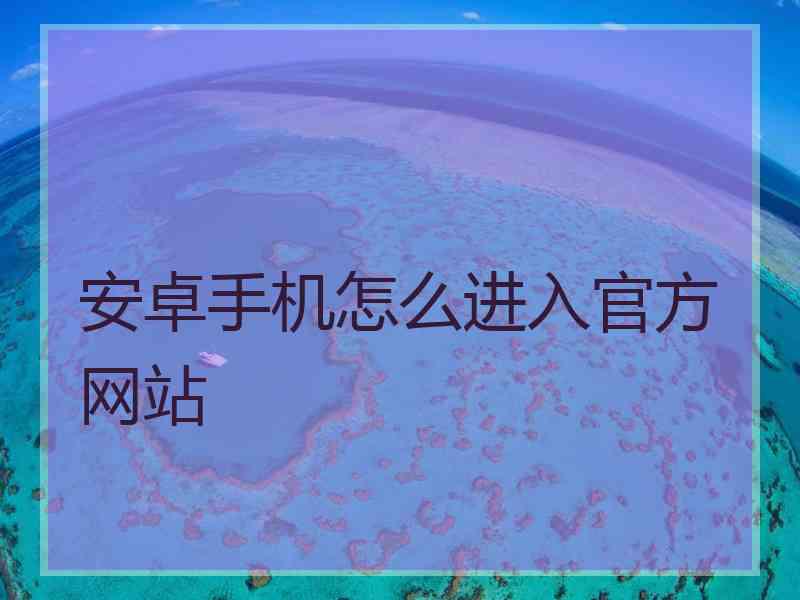 安卓手机怎么进入官方网站