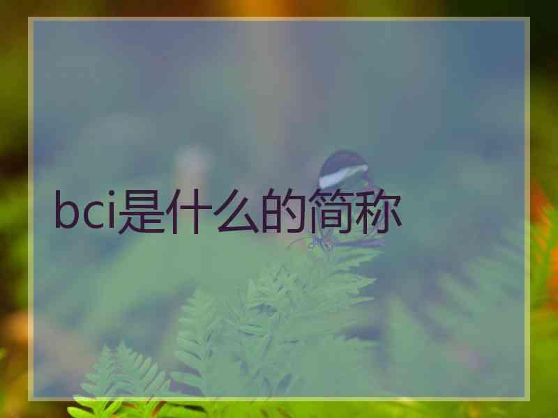 bci是什么的简称