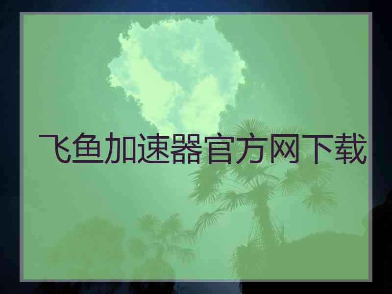 飞鱼加速器官方网下载