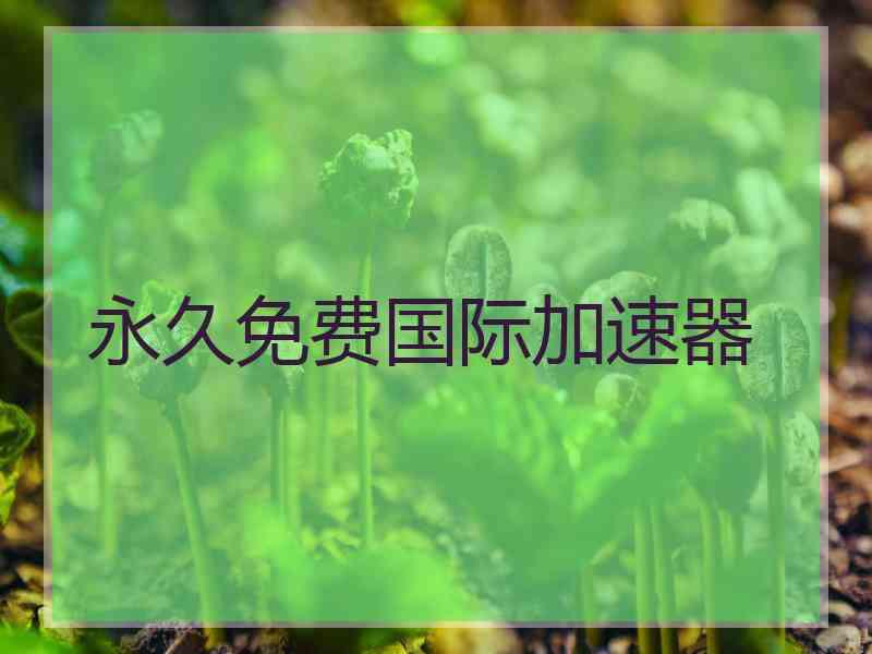 永久免费国际加速器