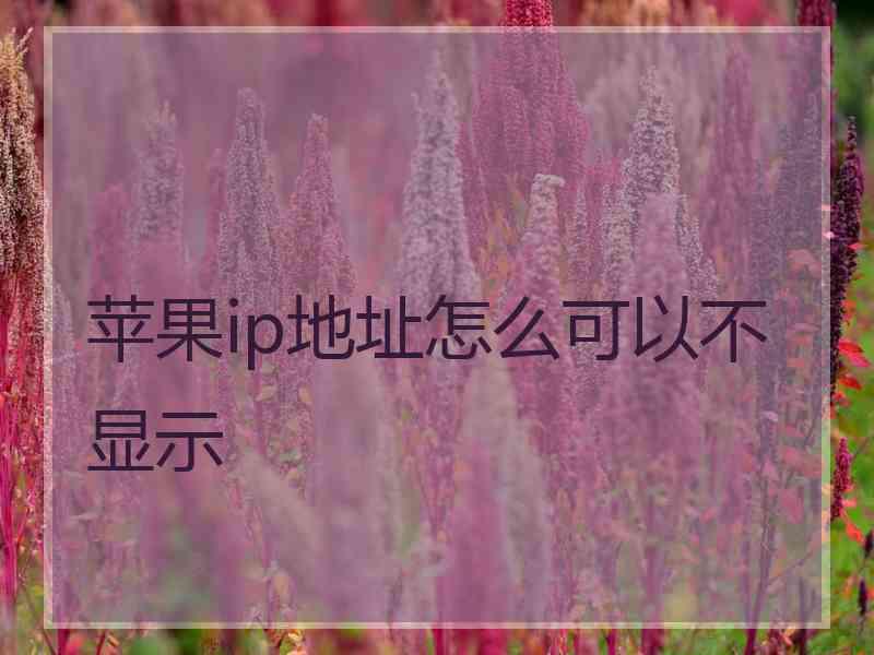 苹果ip地址怎么可以不显示