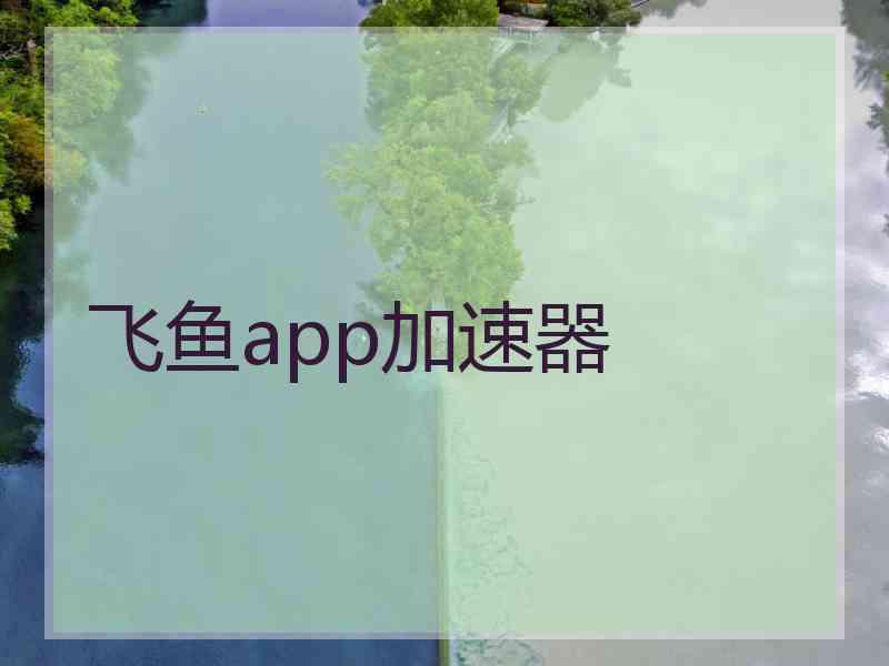 飞鱼app加速器