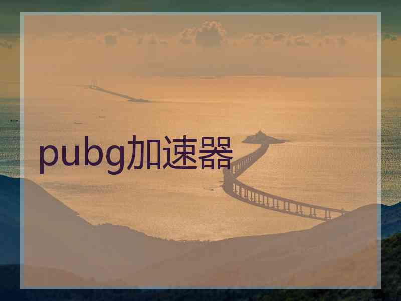 pubg加速器