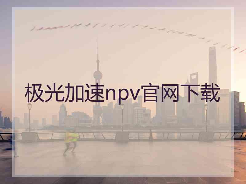 极光加速npv官网下载