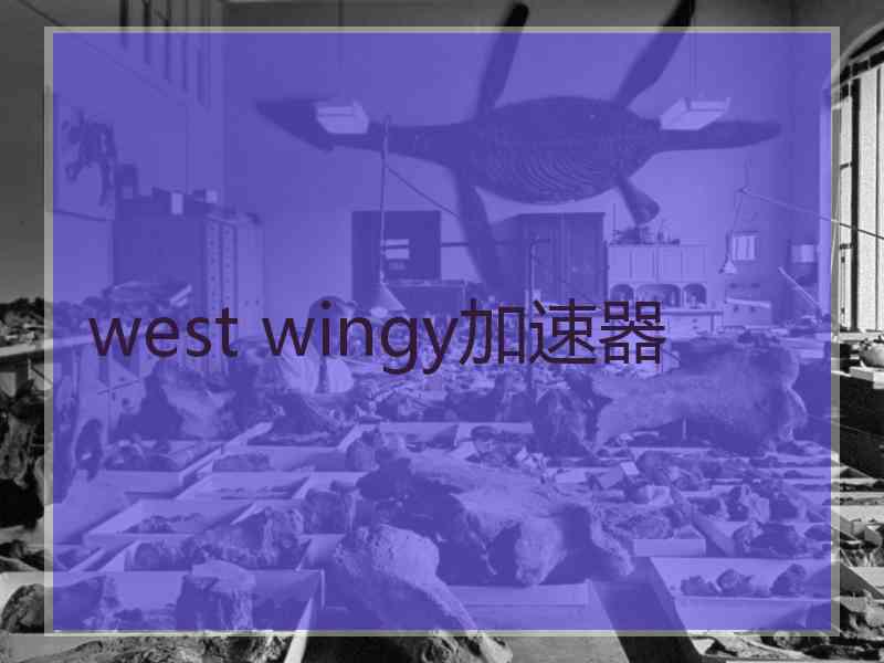 west wingy加速器