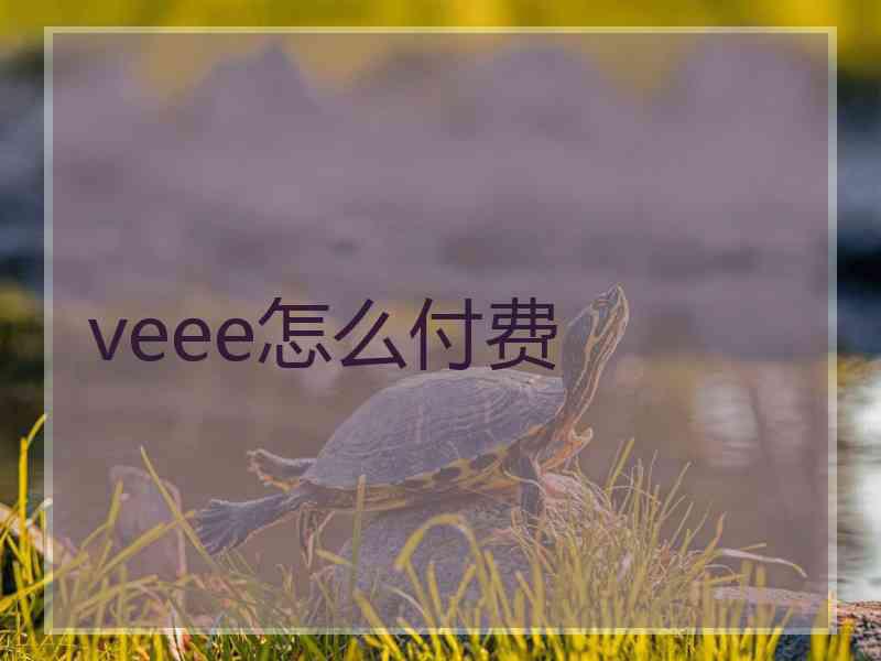 veee怎么付费