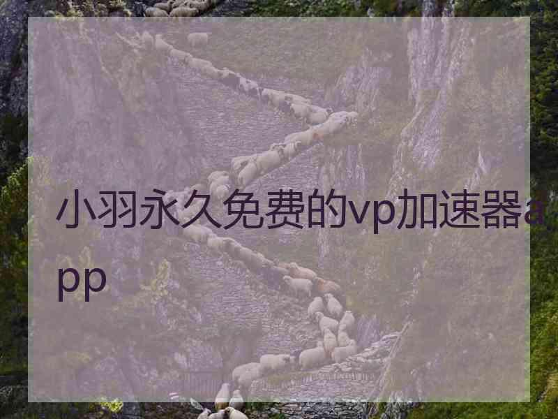 小羽永久免费的vp加速器app