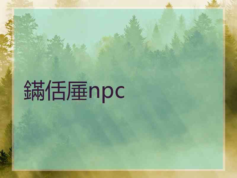 鏋佸厜npc