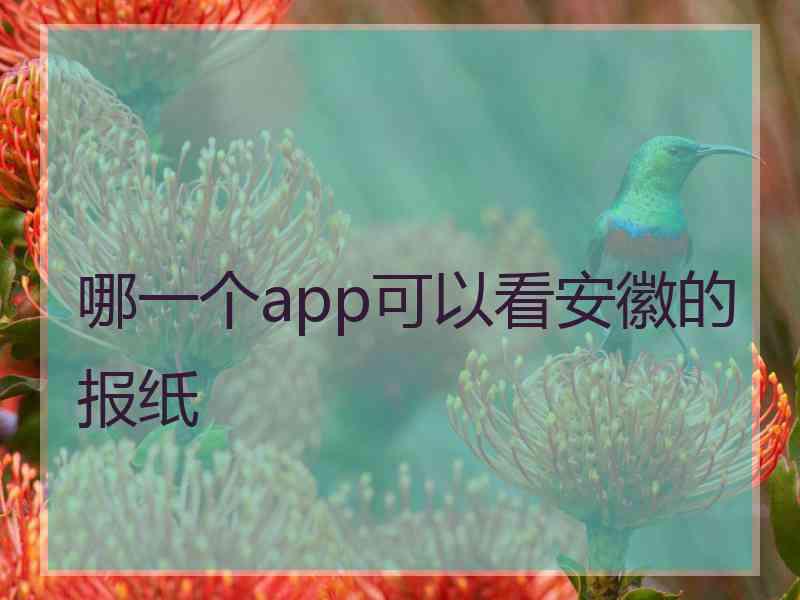 哪一个app可以看安徽的报纸