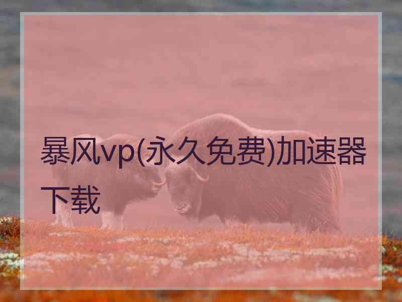 暴风vp(永久免费)加速器下载