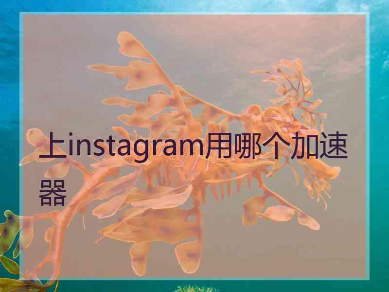 上instagram用哪个加速器