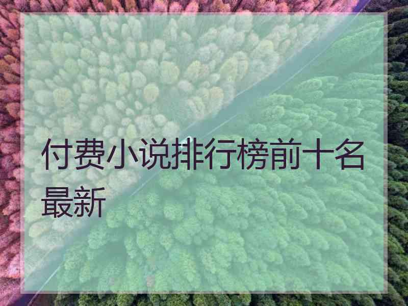 付费小说排行榜前十名最新